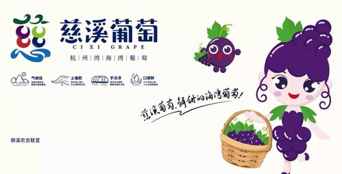 慈溪市第十三屆葡萄節(jié)暨新浦鎮(zhèn)第二屆群眾文化藝術(shù)節(jié)開(kāi)幕式隆重舉行