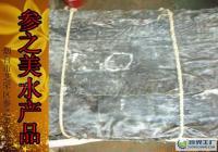 長島特產優質海帶批發 無根寬葉，粗加工水產品供應